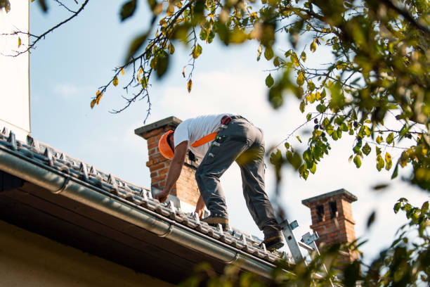 Best Roof Gutter Cleaning  in Anchorage, KY
